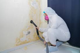 South Sumter, SC Mold Removal Services Company